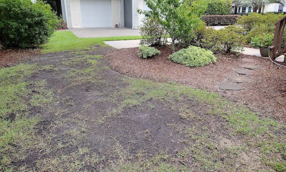 Priority Landscaping LLC