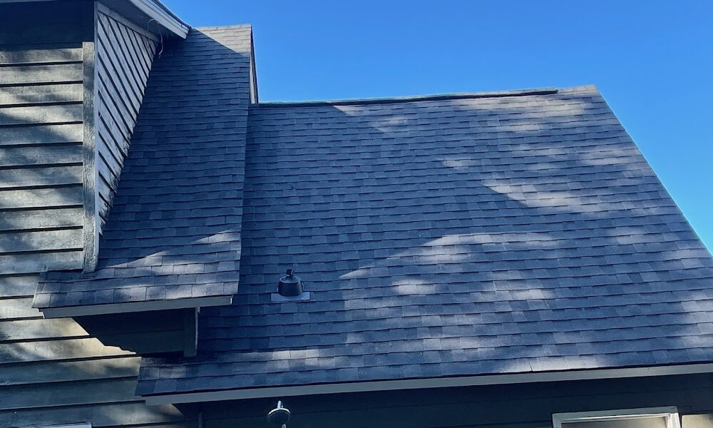 Alpha Roofing Services