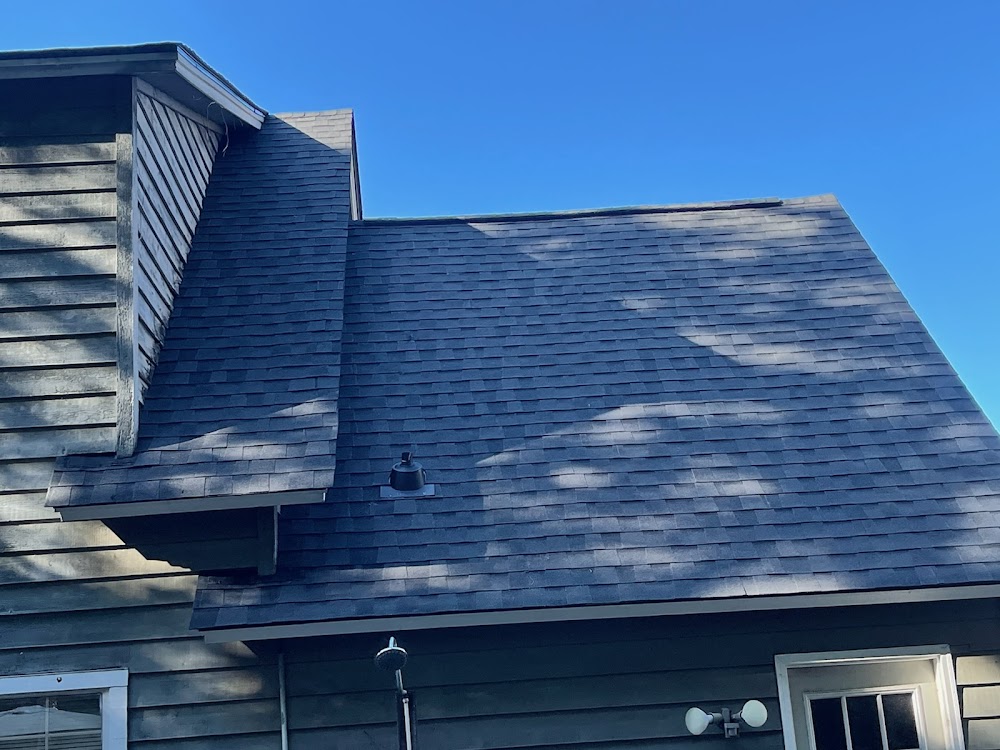 Alpha Roofing Services