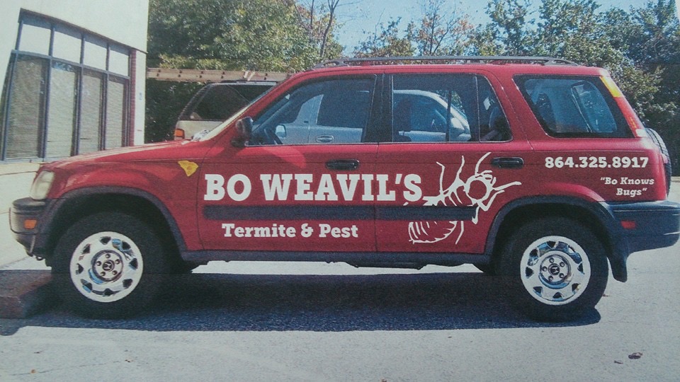 Bo Weavils Termite and Pest