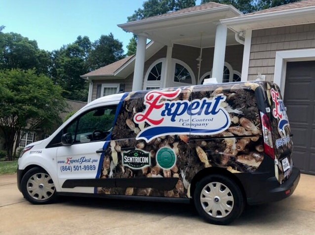 Expert Pest Control