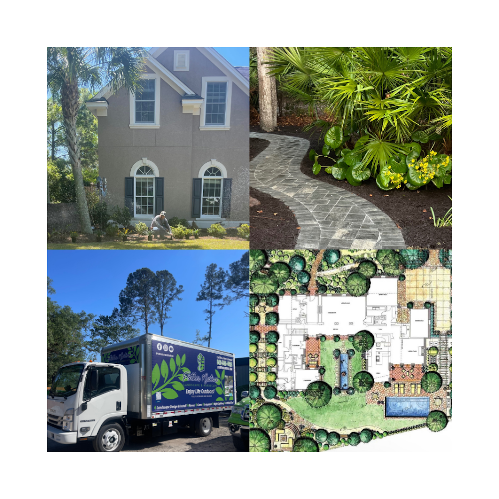 Father Nature Landscaping | Bluffton | Hilton Head Island