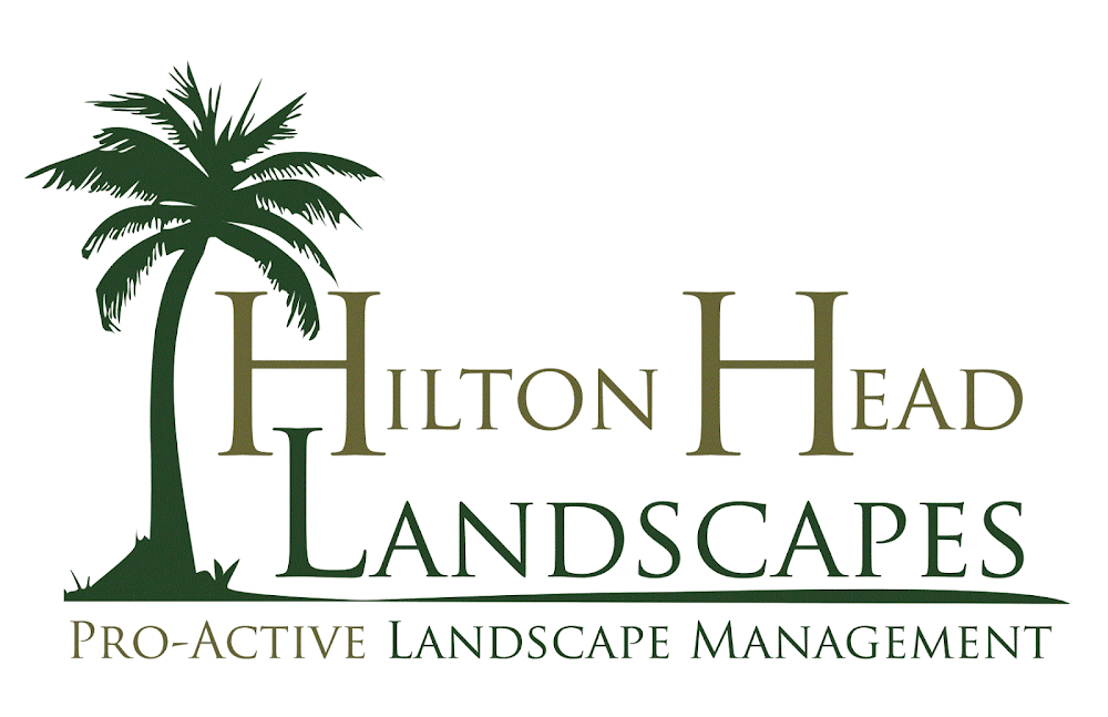 Hilton Head Landscapes