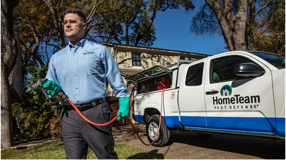 HomeTeam Pest Defense