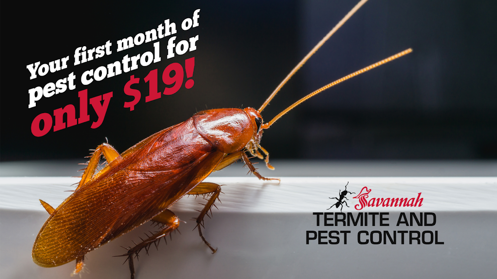 Savannah Termite and Pest Control