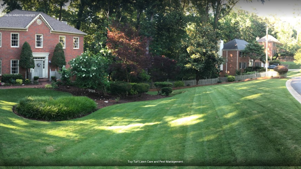 Top Turf Lawn Care and Pest Management