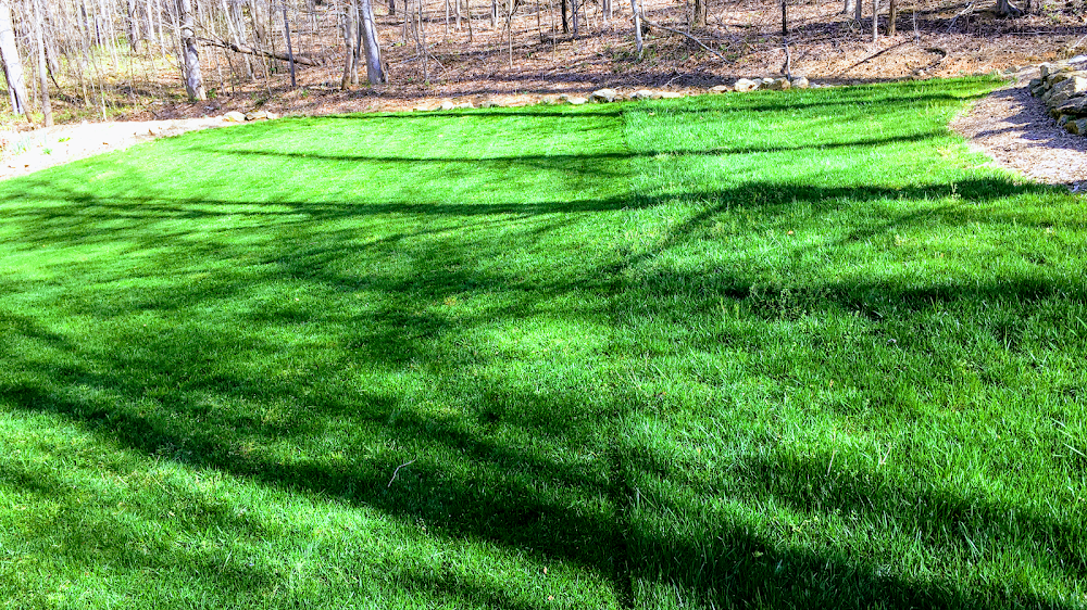 Valdivia’s Lawn Care & Landscape