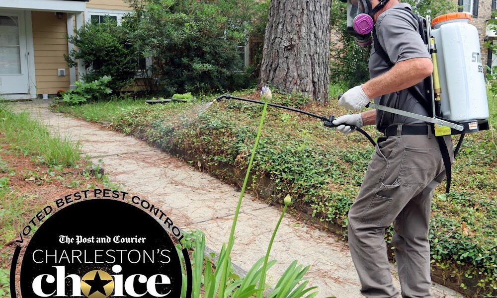 Advanced Termite and Pest Control