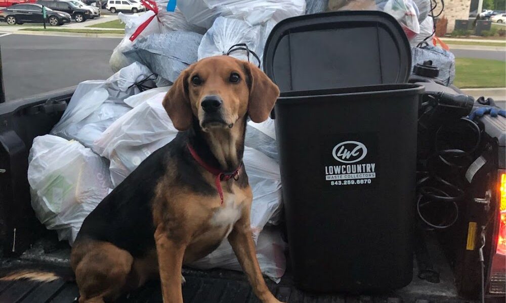 Lowcountry Waste Collectors