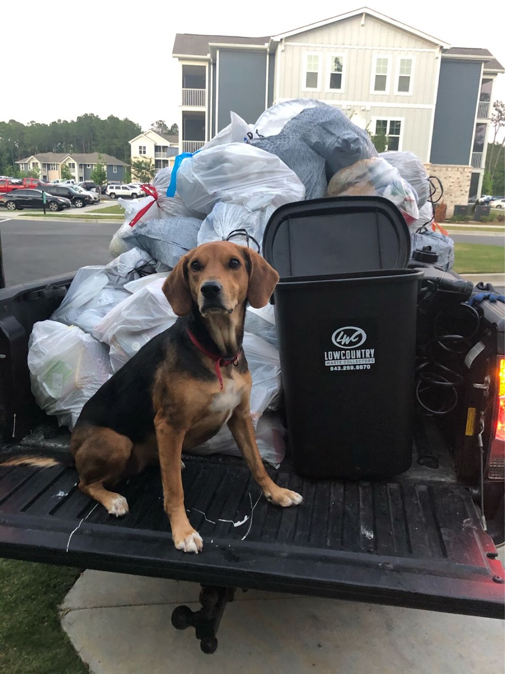 Lowcountry Waste Collectors