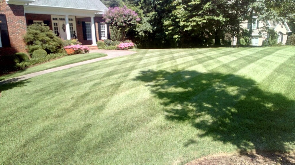 Blue Dot Landscaping