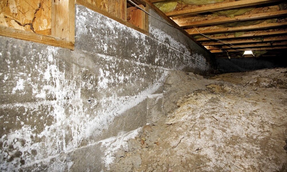 Crawl Space Solutions – Crawl Space Repair & Mold Remediation Services