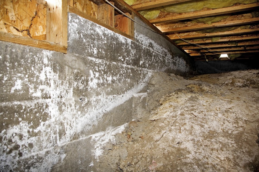 Crawl Space Solutions – Crawl Space Repair & Mold Remediation Services