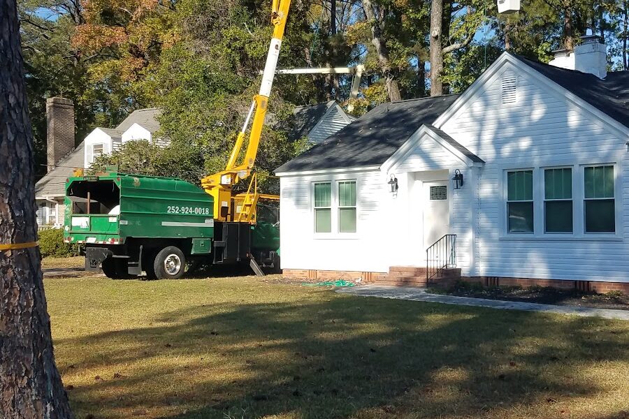 Flowers Tree Service