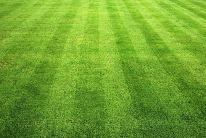 Green stripes lawn care & more