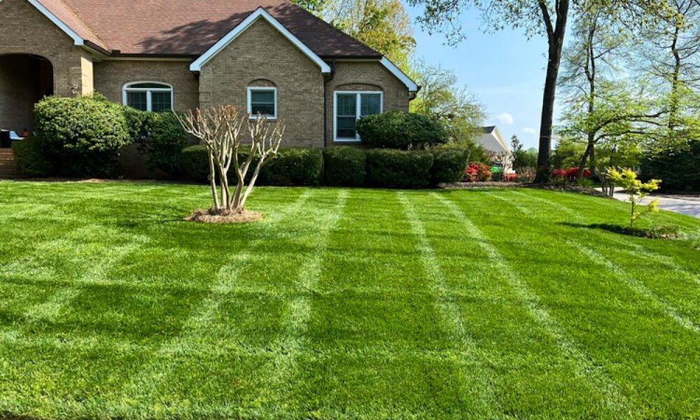 guerrero Lawn Care