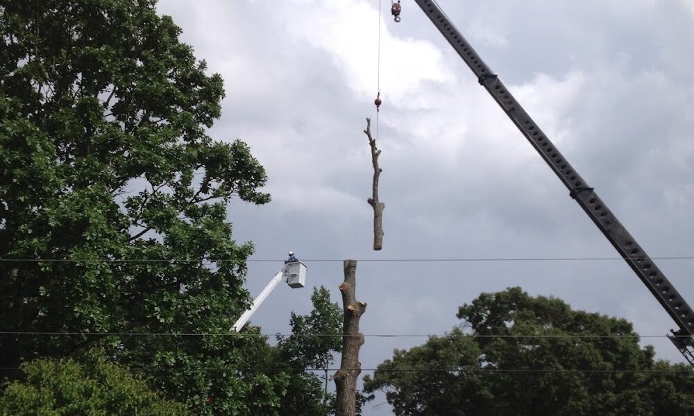 Hultgren Tree Service, LLC