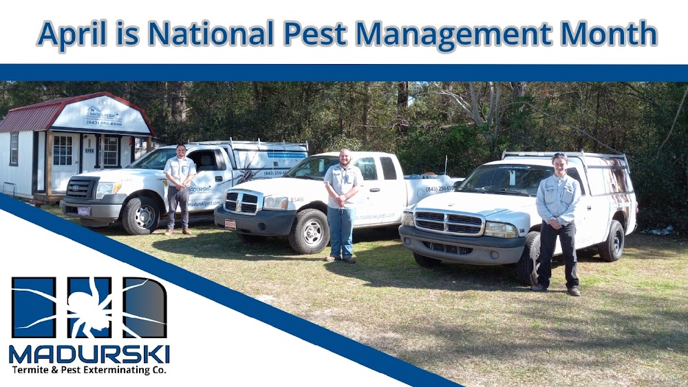 Madurski Termite & Pest Exterminating Co.