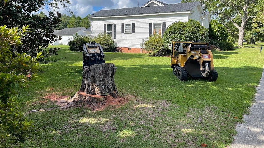 Premier Services Tree & Stump removal