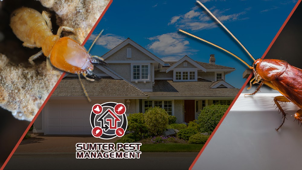 Sumter Pest Management